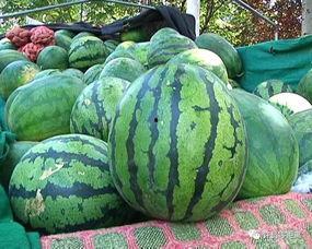 每天看娱乐吃瓜会怎么样