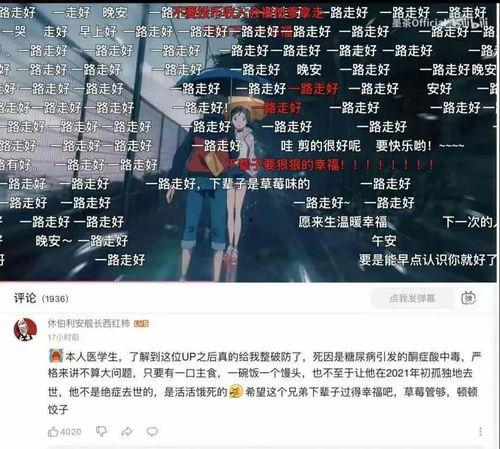 娱乐圈吃瓜视频直播